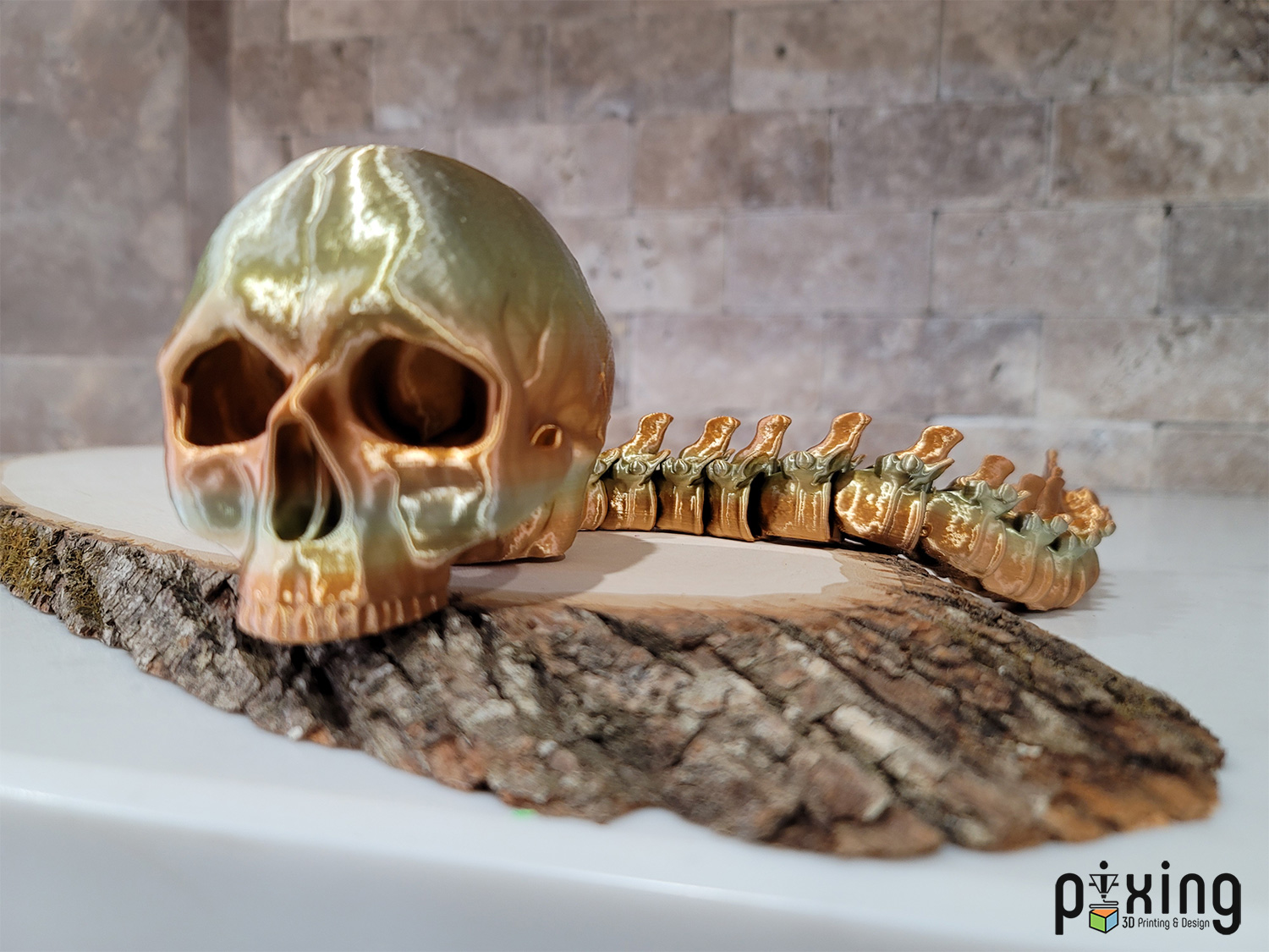 Predator-Hunting-Skull-Trophy-Product-Featured