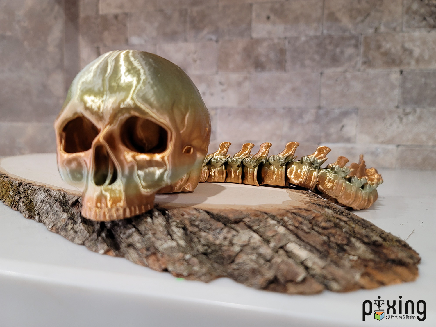 Predator Hunting Skull Trophy 3D Printed Movie Prop Front View