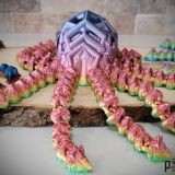 Void-Octopus-Rainbow