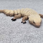 Bearded Dragon Lizard