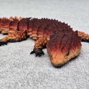 Bearded Dragon Lizard