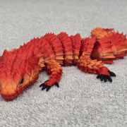Bearded Dragon Lizard