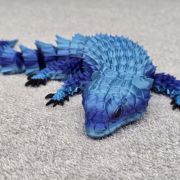 Bearded Dragon Lizard