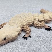 Bearded Dragon Lizard