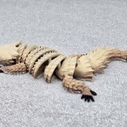 Bearded Dragon Lizard