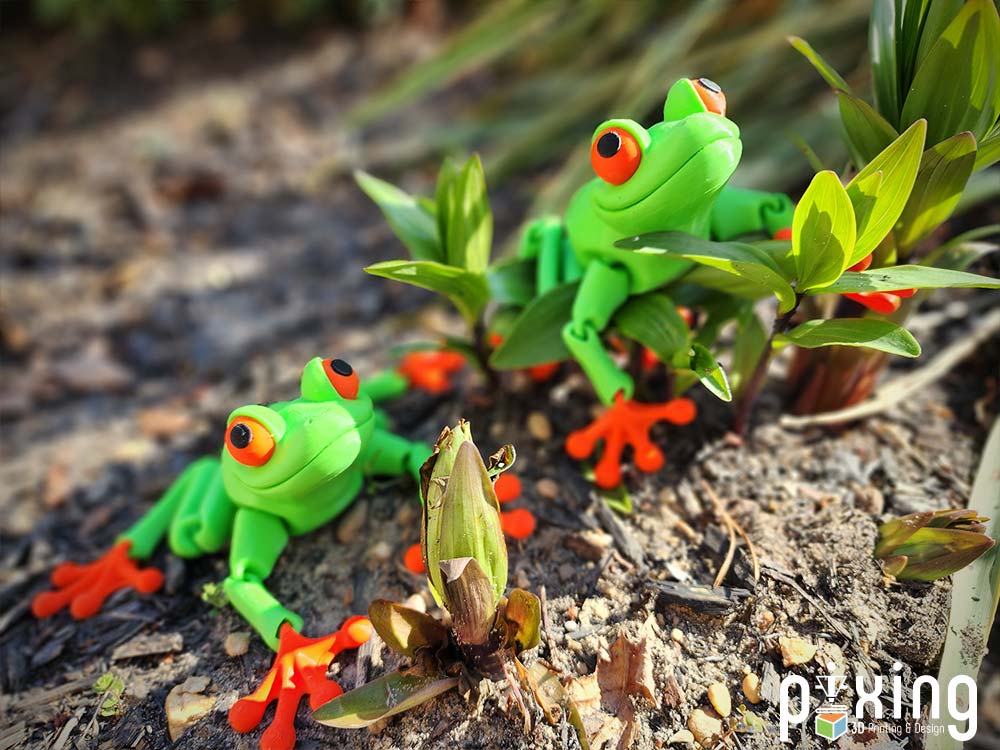 Multicolor Deluxe 3D Printed Frog