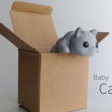 Baby-Cat-2