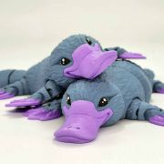 Platypus Medium