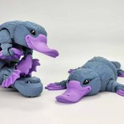 Platypus Medium