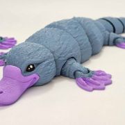 Platypus Medium