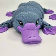 Platypus Medium