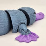 Platypus Medium