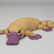 Platypus Medium