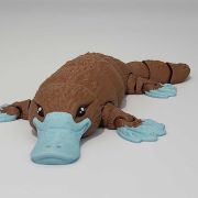Platypus Medium