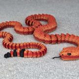 Rattle Snake-01-pixing3d.com