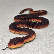 Rattlesnake