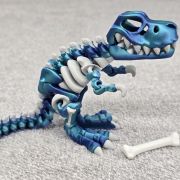 T-Rex Skeleton Medium