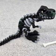 T-Rex Skeleton Medium