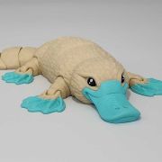 Platypus Medium