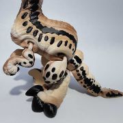 Velociraptor Medium