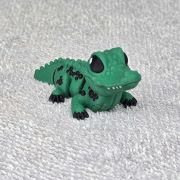 Crocodile Little