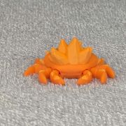 Crystal Crab Little
