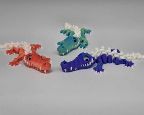 Crocodile Skeleton Little
