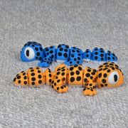 Spotted Gecko Lizard Little