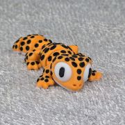 Spotted Gecko Lizard Little