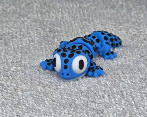 Spotted Gecko Lizard Little