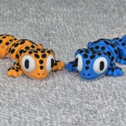 Spotted Gecko Lizard Little