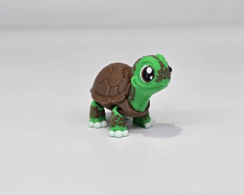 Tortoise Turtle Little