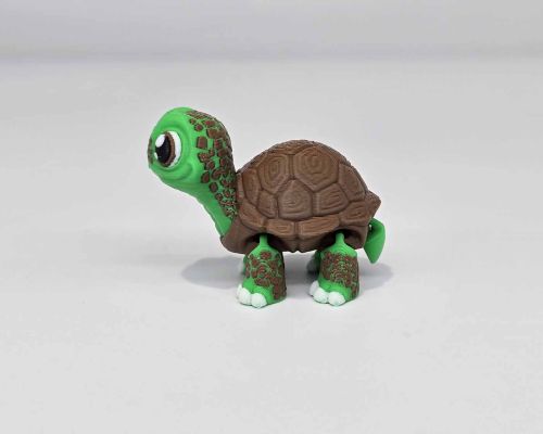 Tortoise Turtle Little