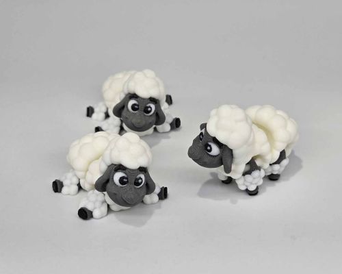 Black-Nosed Sheep Little