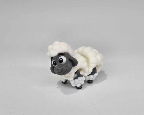 Black-Nosed Sheep Little