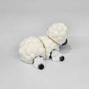 Black-Nosed Sheep Little