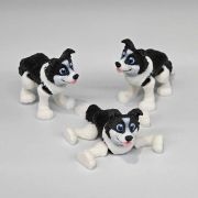 Border Collie Dog Little