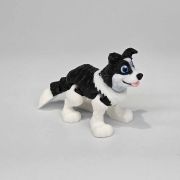 Border Collie Dog Little