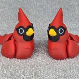 Cardinal-Little-01-Pixing3d.com