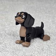 Dachshund Dog Little