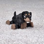 Dachshund Dog Little