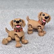 Labrador Retriever Dog Little