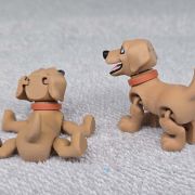 Labrador Retriever Dog Little