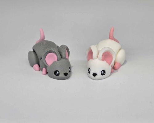 House Mouse Little