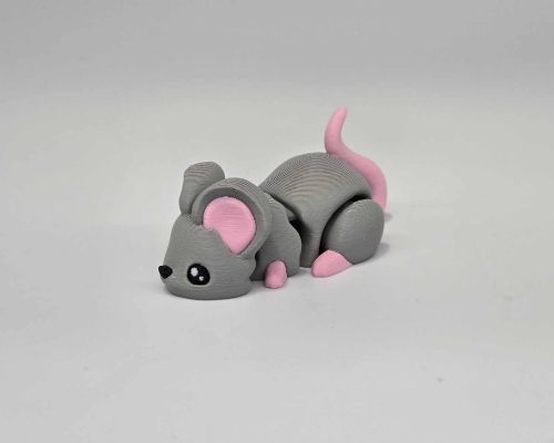 House Mouse Little