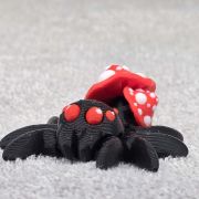 Mushroom Spider Little