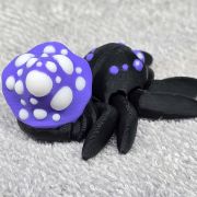 Mushroom Spider Little