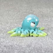 Spotted Octopus Little