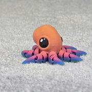 Spotted Octopus Little