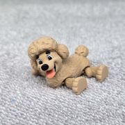 Poodle Dog Little